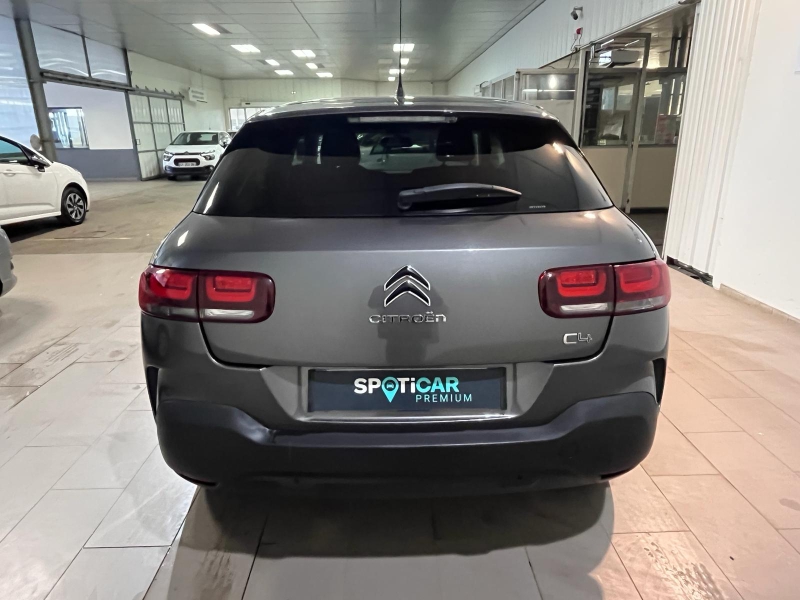 CITROEN C4 Cactus PureTech 110ch S&S Shine EAT6 E6.d-TEMP